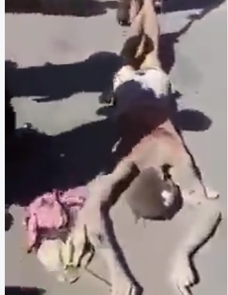 سحل مواطن في تعز