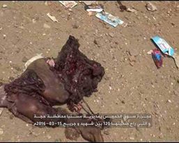 مجزرة سوق الخميس حجة7